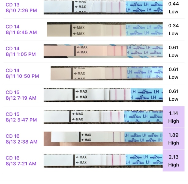 OPK Progression pics