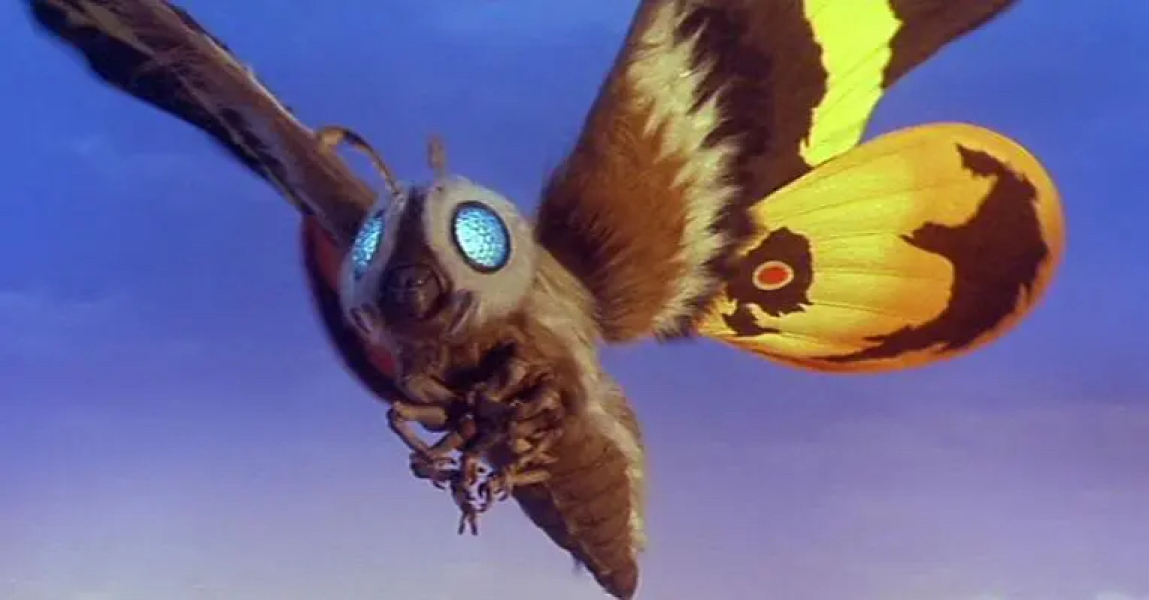 to be wary or scared of this creature?