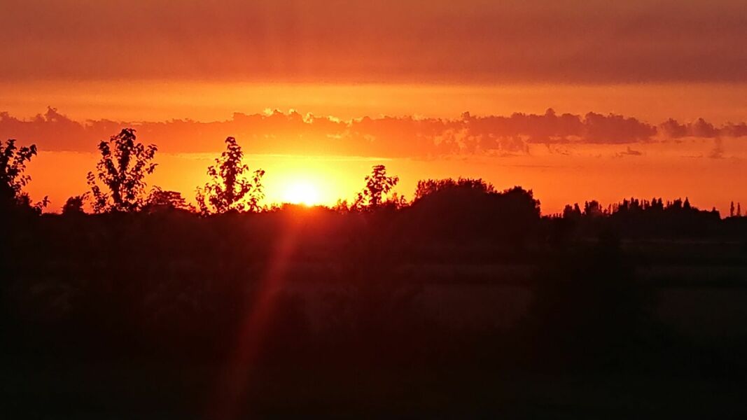 Pamela thread 6 - Bile Duct Cancer, Continued