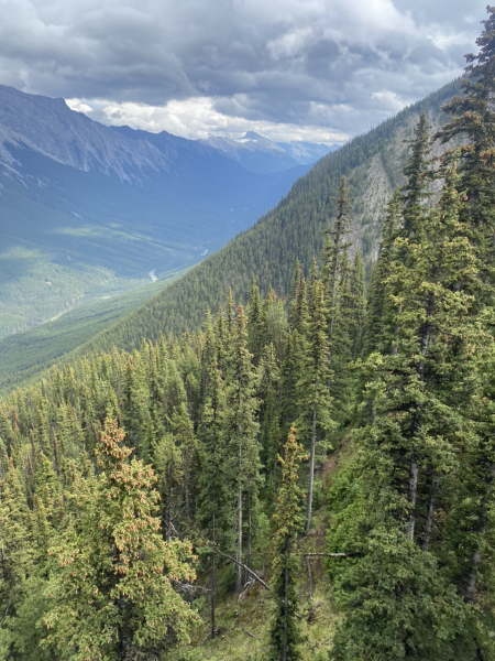 Come and tell me your dull and unexciting news 26: Calmly through the day 