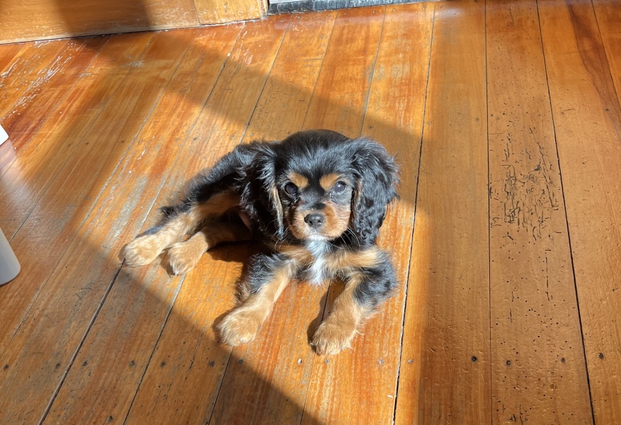 50 Books Challenge 2023 Part Seven 