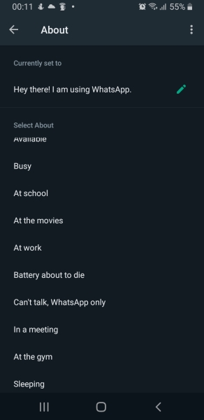 Can you put a holiday notification on for whatsapp?