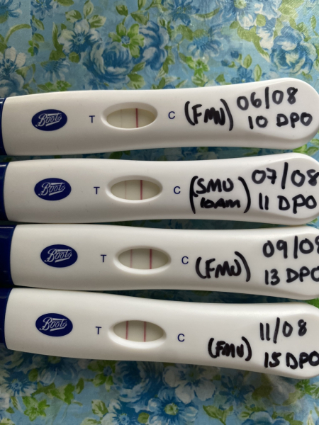 4 weeks pregnant / due April 2024