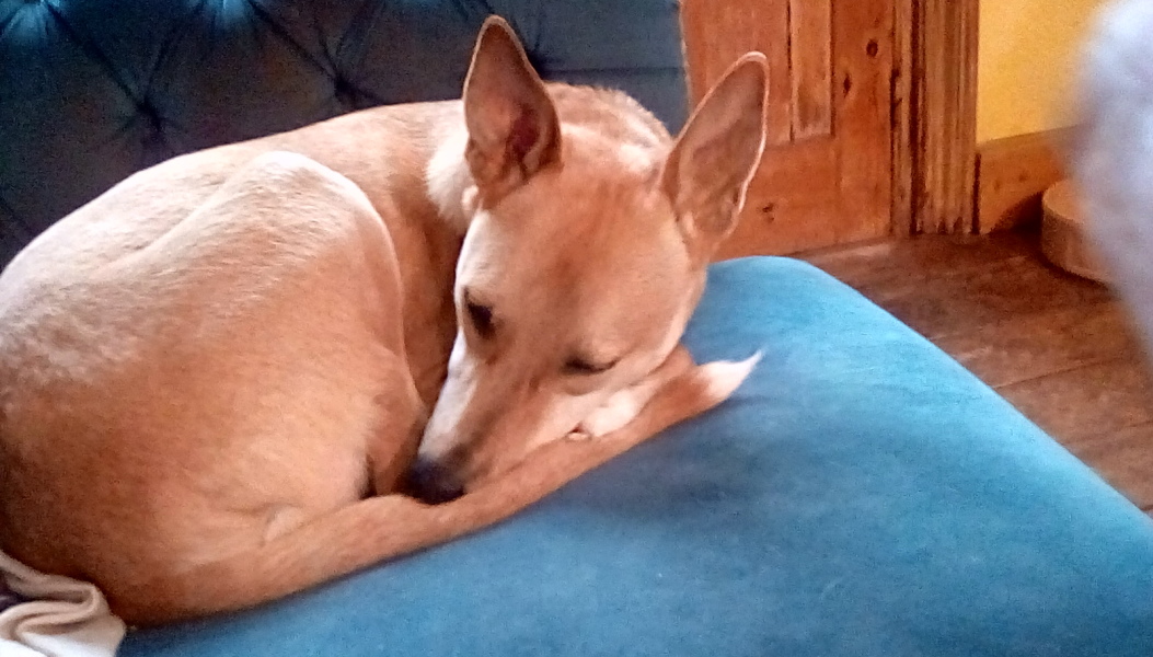 50 Books Challenge 2023 Part Seven 