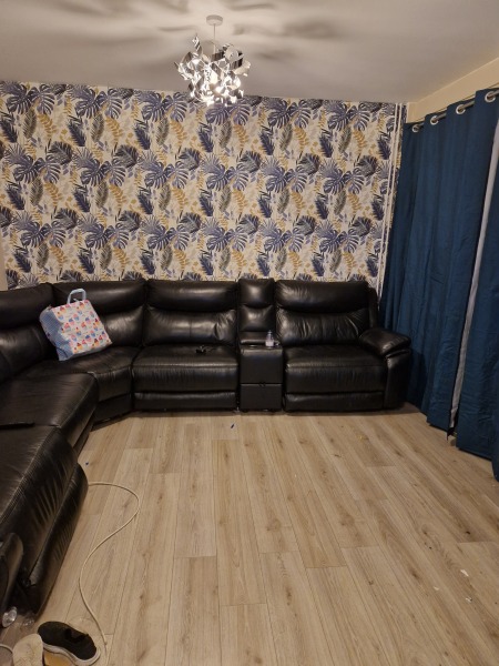 Help me choose a rug  Pic