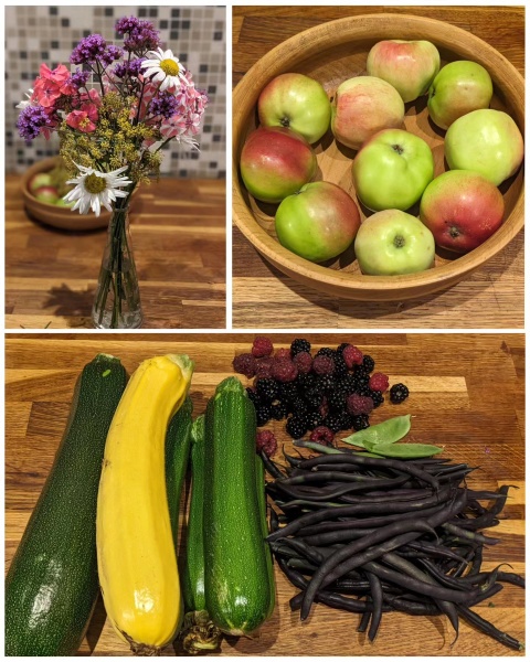 The Vegetable Patch Mark 2