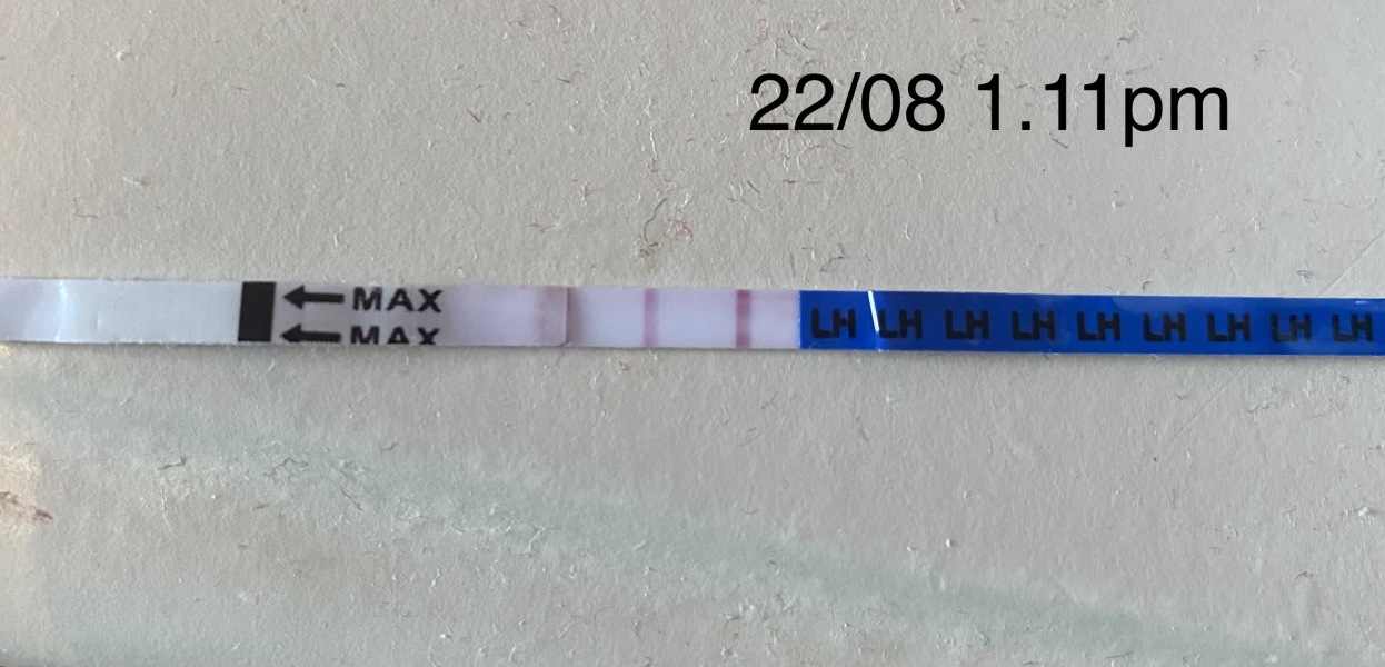 2023 TTC 35+ Part 4