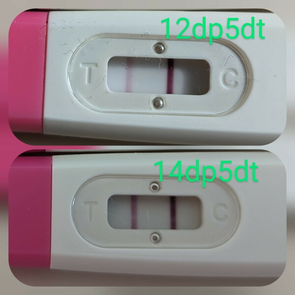 FET/IVF July 2023 - Thread 2