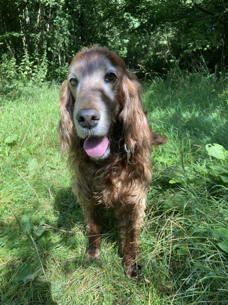 Cancer Support Thread 89 - the best thread that no one wants to be on.