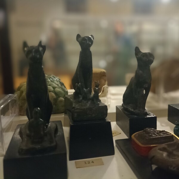 Mary Rose Museum's Queer Lense
