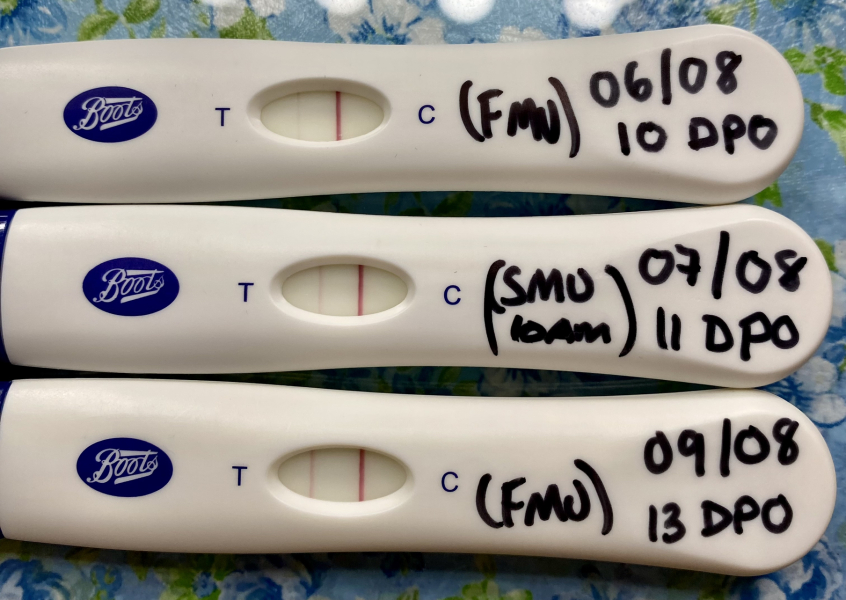 4 weeks pregnant / due April 2024