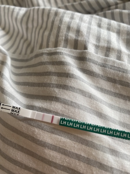 Ovulation testing help 