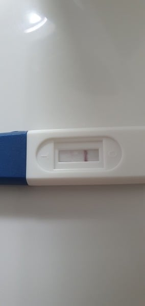 Vvfl at 4dpo