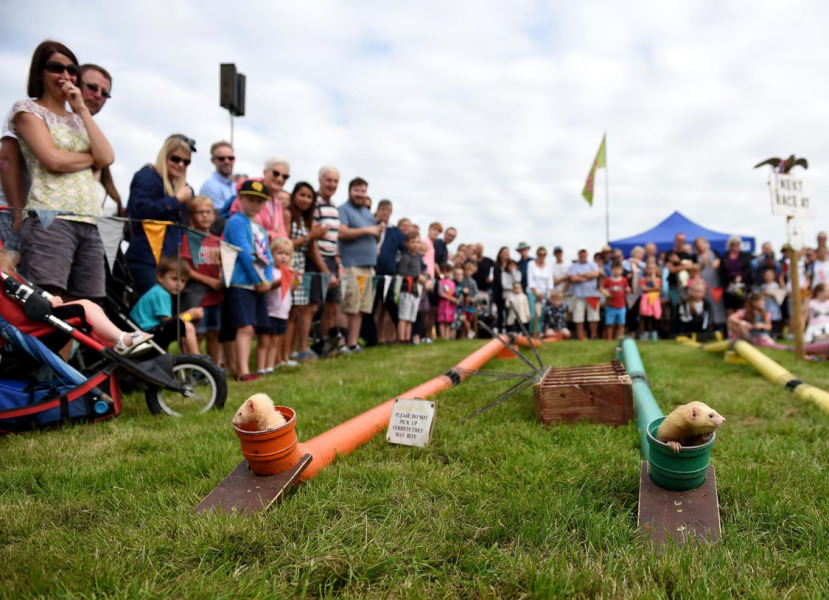 Archers thread #152: The Dog Days of Summer in Ambridge! Rabid rants, tearoom dogfight, Bully Dog George gets it all on camera. Is Lone wolf Rob waiting in the woods? Discuss The Archers here!