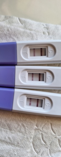 March 2024 continued!