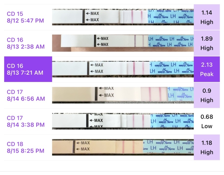 OPK Progression pics
