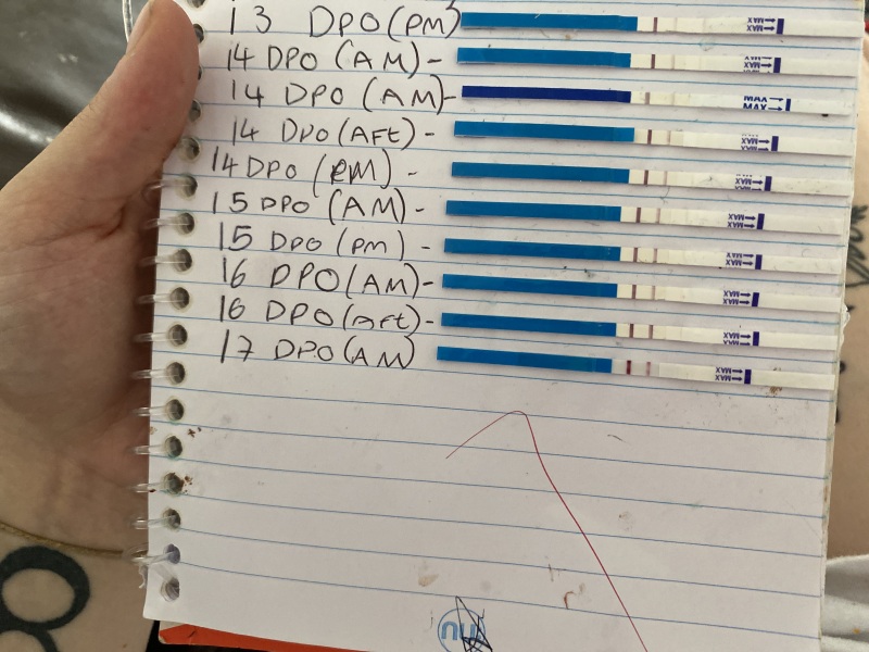 Looking for TWW buddies....