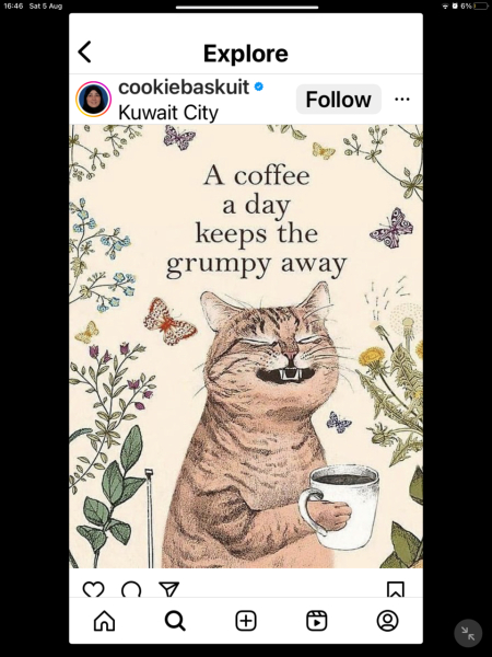 A Very Great Quantity Of Excellent Cats