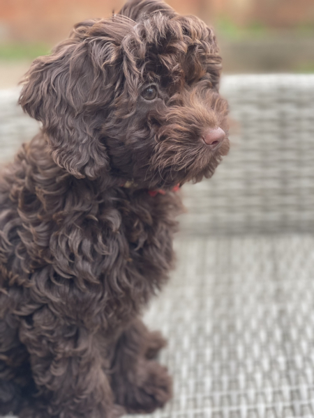 Meet Walter...
