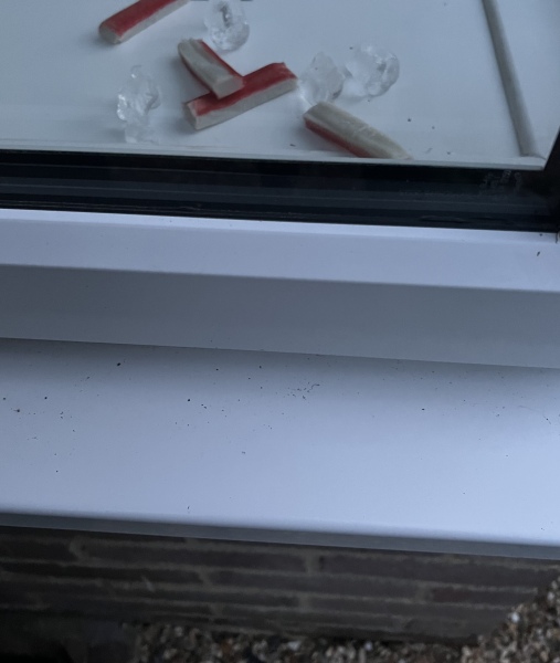 To break into new neighbours house *serious question, NOT trolling*