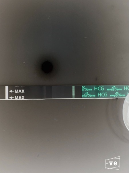 10dpo