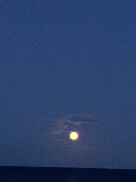 The Moon tonight