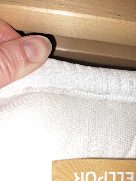 Bed bugs?