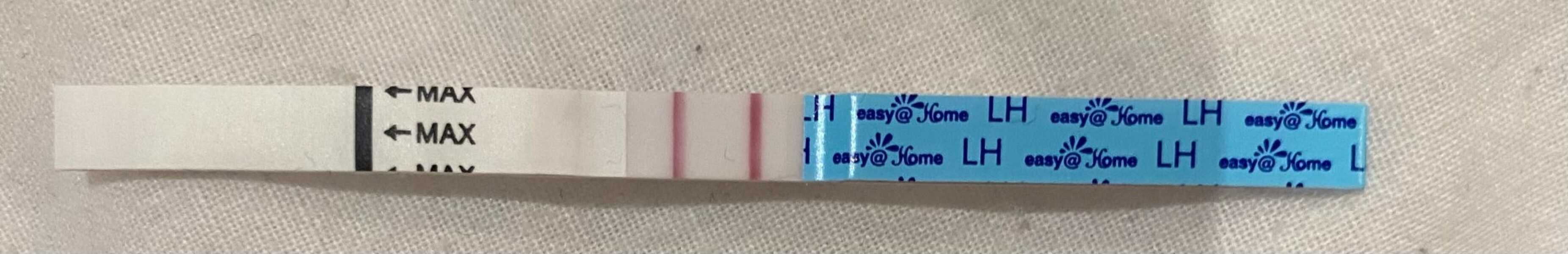 Positive OPK?