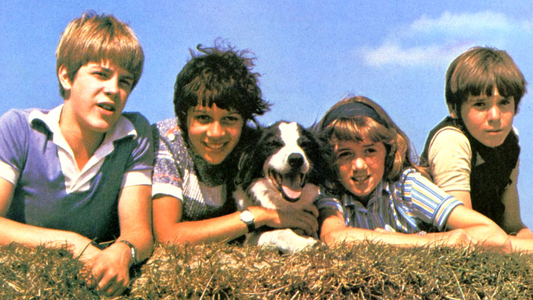 Timmy will be played by a border collie. Wrong. Just so wrong.