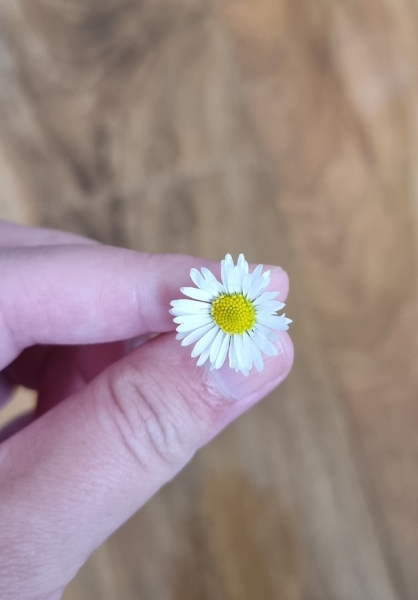 What's made you smile today?