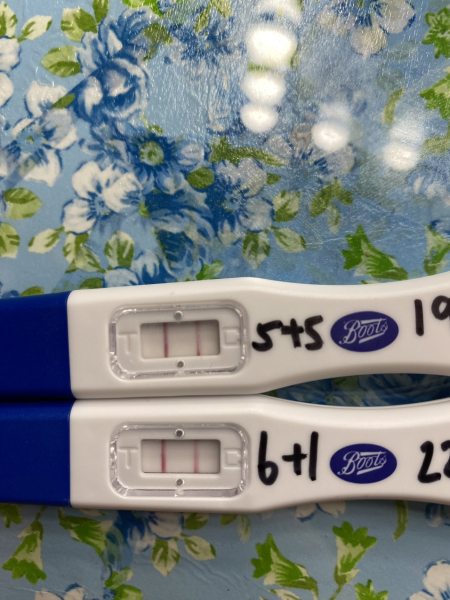 4 weeks pregnant / due April 2024