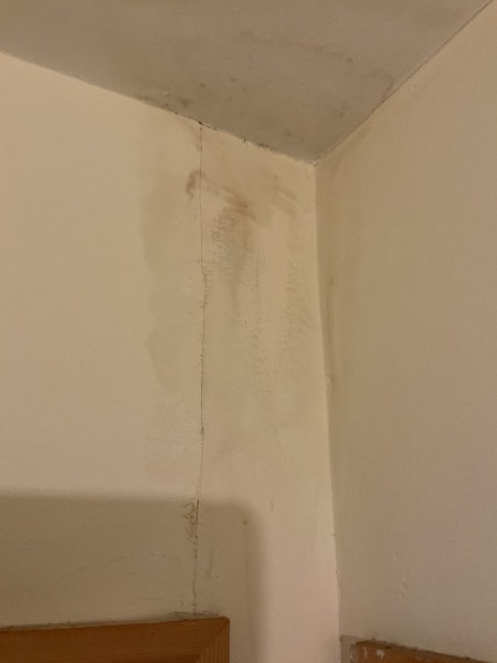Roof woes - Advice needed (with pic)