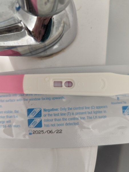 BBTing our way to a BFP in August 🎉