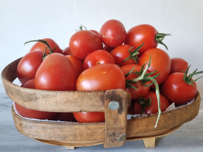 Best tomato recipes?
