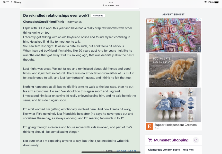 The pooing cat Etsy ad