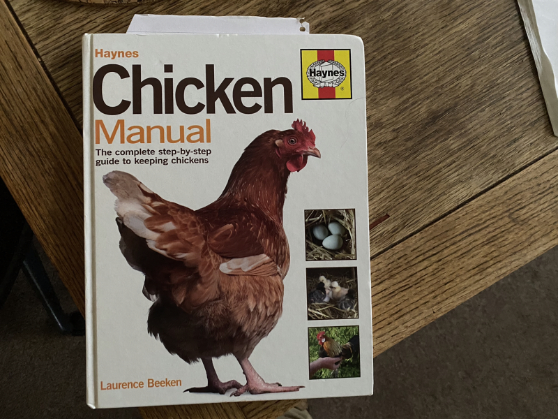 Complete novice needing advice