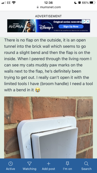 To break into my new neighbours house *THREAD 2*