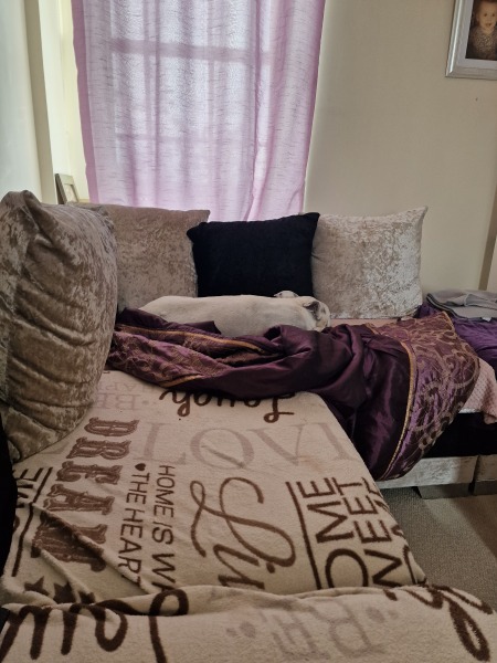Anyone a dog owner in a flat?