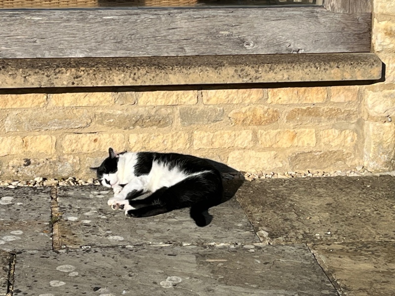 Thread 9 - TalkLair: “Russell's teapot goes on being round”