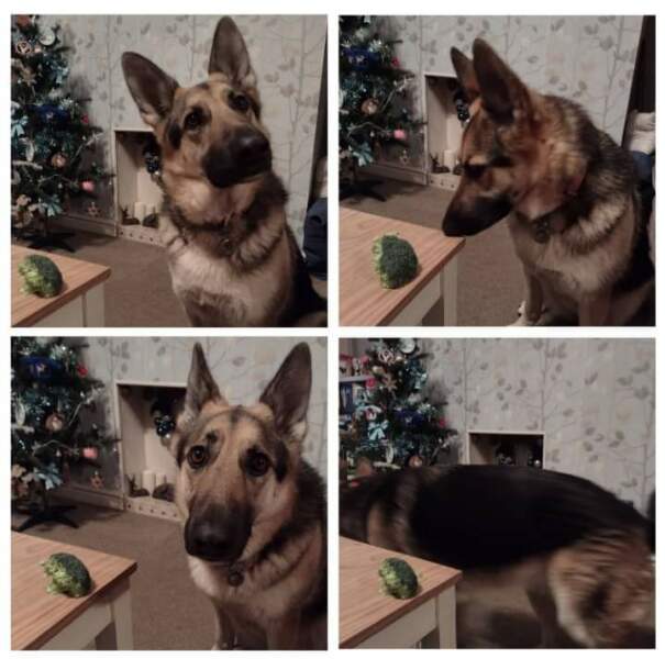 50 Books Challenge 2023 Part Eight