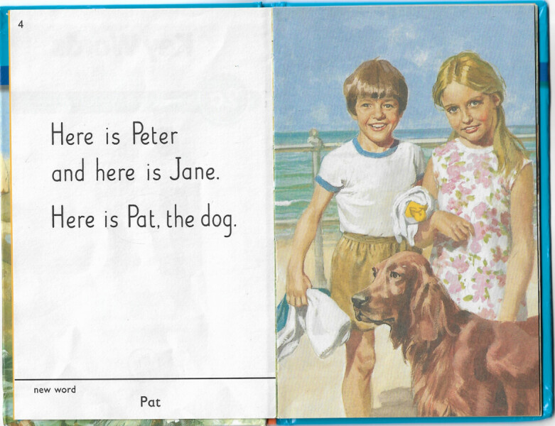 Timmy will be played by a border collie. Wrong. Just so wrong.