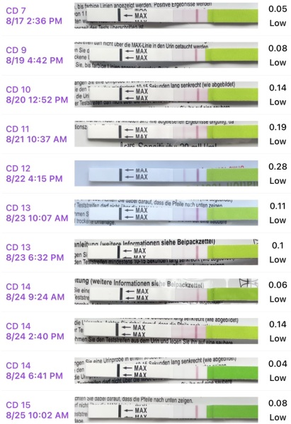 Would you trust the opk Pre mom ratio?