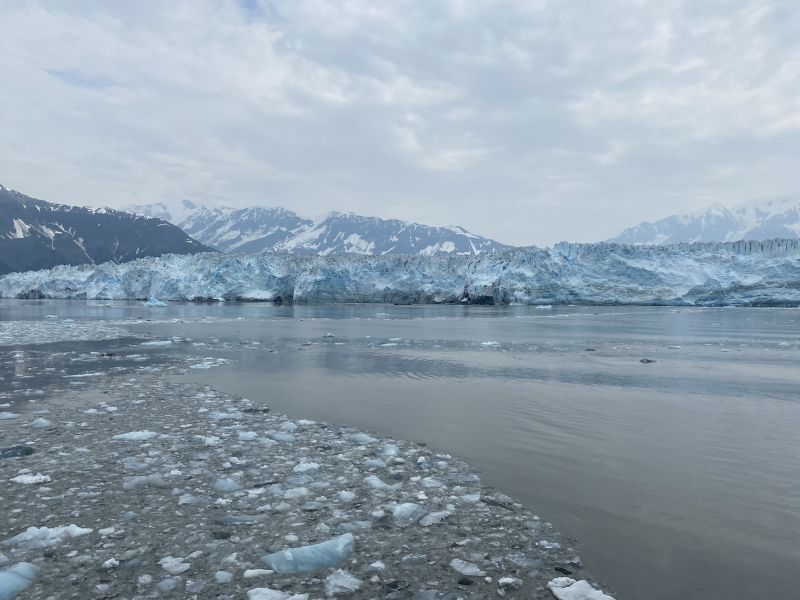 Come and tell me your dull and unexciting news 26: Calmly through the day 