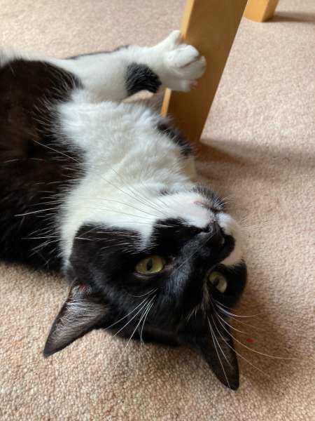 Thread 9 - TalkLair: “Russell's teapot goes on being round”