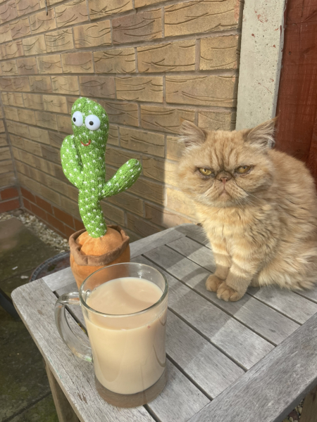 Adopting a Persian