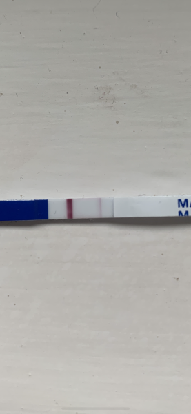 BFP on CD56? Am I dreaming?