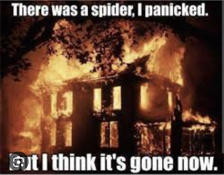 Arachnophobia