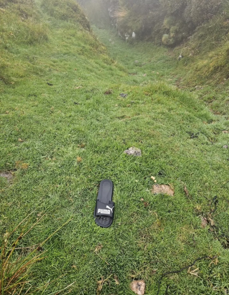“Possible evidence of big cat in wild in new clearest picture”