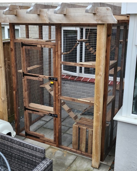 Catio