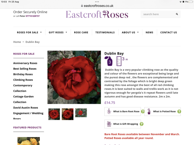 Climbing roses?